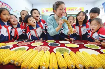 2022世界粮食日活动方案模板（世界粮食日策划方案范本）