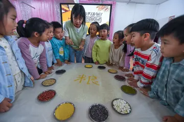 2022世界粮食日实施方案模板（粮食日宣传工作方案范本）