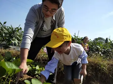 2022世界粮食日活动总结范文（世界粮食日策划总结范例）