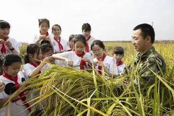 2022世界粮食日实施总结范文（世界粮食日工作总结范例）