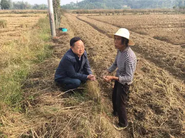 2022世界粮食日实施总结范文（世界粮食日工作总结范例）