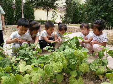 2022幼儿园德育工作活动总结范文（幼儿园德育建设策划总结范例）