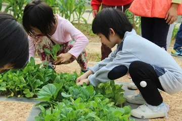 2022幼儿园德育工作活动总结范文（幼儿园德育建设策划总结范例）