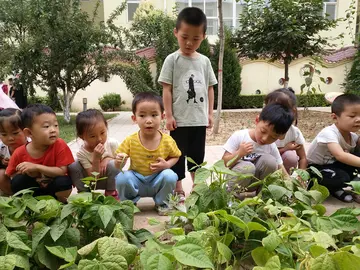 2022幼儿园德育工作活动总结范文（幼儿园德育建设策划总结范例）