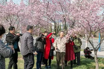 2022德育工作年度总结范文（德育工作年终总结范例）