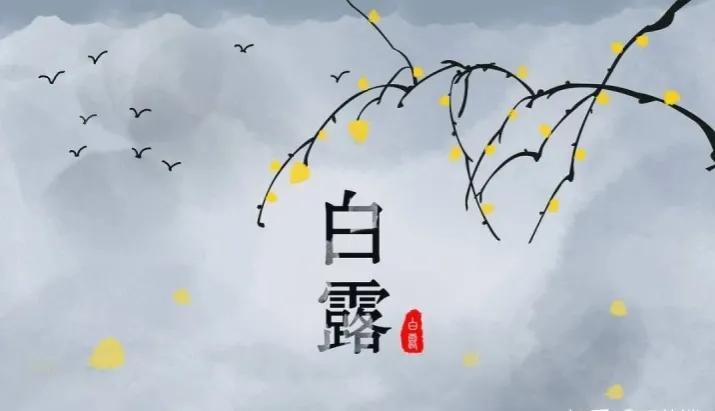 露从今夜白，思念意更切（白露节气祝福语文案）