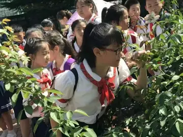 2022小学生夏令营活动方案模板（青少年夏令营策划方案范本）