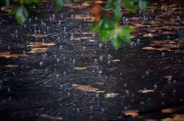 秋雨绵绵的唯美句子（描写秋雨的优美句子）