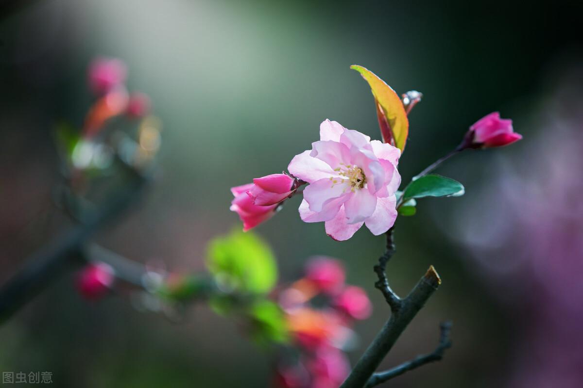 有关高情商的暖心句子（九句治愈人心语录）