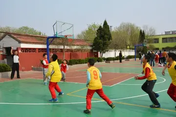 2022小学生篮球比赛活动总结范文（小学生篮球大赛策划总结范例）