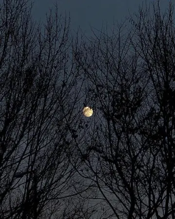 深夜失眠的难过句子（夜深人静的伤感句子）