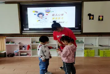 2022幼儿心理健康活动总结范文（儿童心理健康策划总结范例）