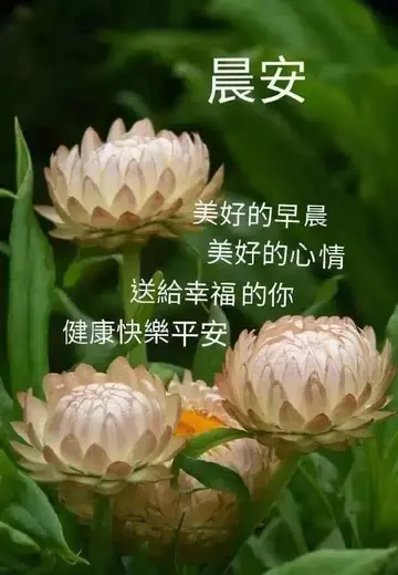 适合早上发的暖心句子（经典而温馨的早安心语）