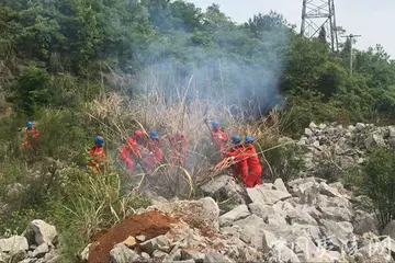 2022森林防火实施活动方案模板（预防山火实施策划方案范本）