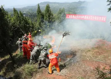 2022森林防火实施流程方案模板（森林火灾防治实施方案范本）