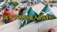 端午思念亲人的句子(有内涵想念亲人短句)