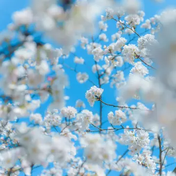 充满深意的文案句子（简短有深意的句子）