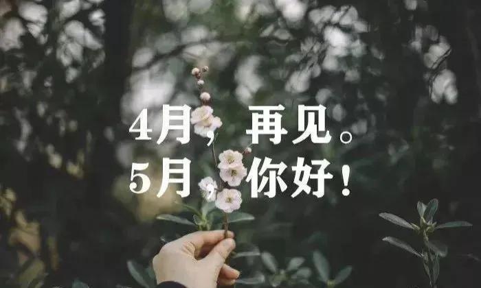 四月再见，五月你好（不期而遇的精美短句）