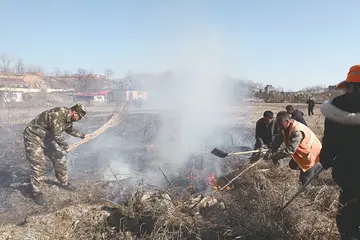 2022森林防火实施总结范文（森林防火工作总结范例）