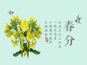 关于春分节气的经典诗句（适合春分的诗词名句）