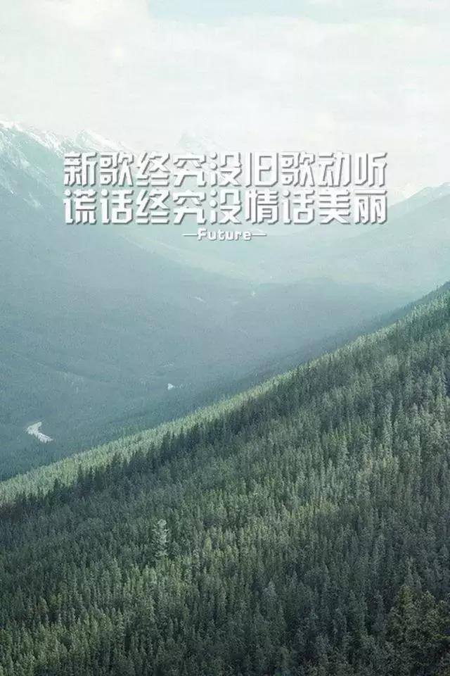 令人心酸的扎心文案（意难平的心酸句子）