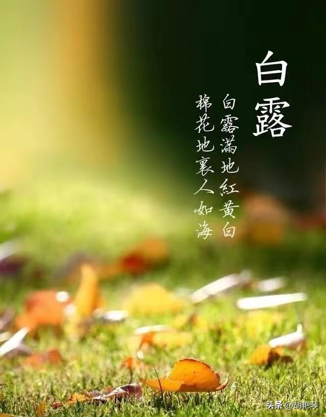 5首唯美白露诗词（关于白露的诗词大全）