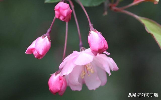 非常入心的哲理句子（唯美走心的哲理句子）