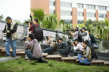 2022院校摄影大师实施方案范本（学生摄影能手工作方案模板）