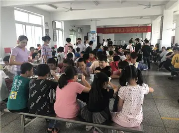 2022小学食品安全宣传周实施总结范文（小学食品安全宣传周工作总结范例）