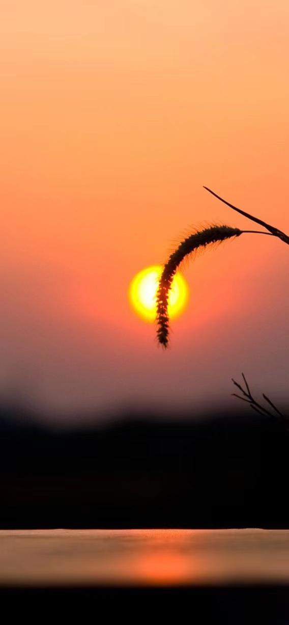 绝美黄昏日落简短文案（浪漫夕阳的唯美句子）