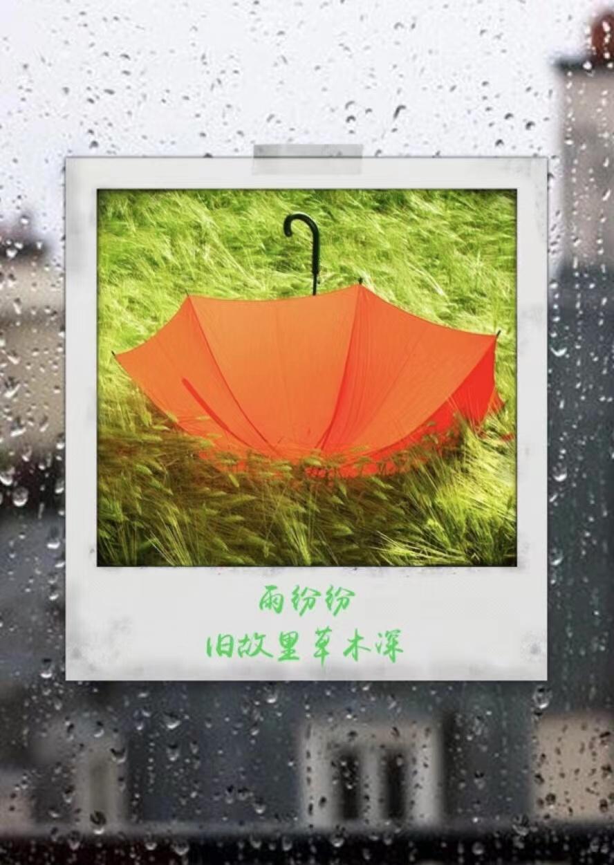 适合下雨天朋友圈发的文案（雨天心情句子分享）