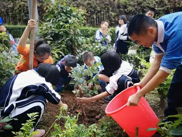 有关环境保护的小学作文300字（《爱护花草树木》精选范例）