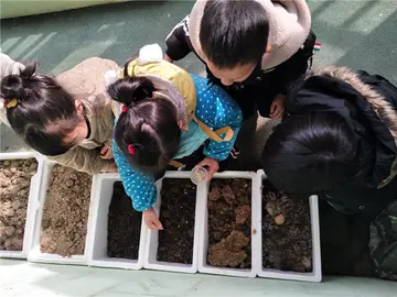 《爱护花草人人有责》作文精选（关于保护环境的小学作文范例）