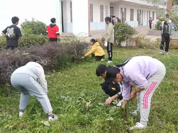 《热爱劳动爱卫生》作文精选（关于劳动的作文范例）