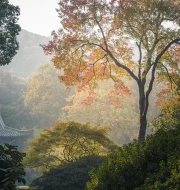 适合秋天的浪漫文案（关于秋天的美好句子）