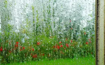 有关下雨的作文800字（《聆听窗外的雨》精选范例）