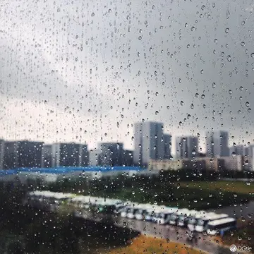 有关下雨的作文800字（《聆听窗外的雨》精选范例）