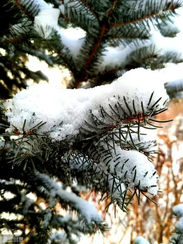 关于下雪的温柔句子（形容雪天的唯美句子）