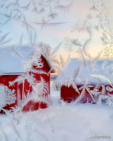 关于下雪的温柔句子（形容雪天的唯美句子）