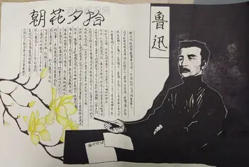 朝花夕拾读后感作文800字（蓦然回首，彼时迢迢）