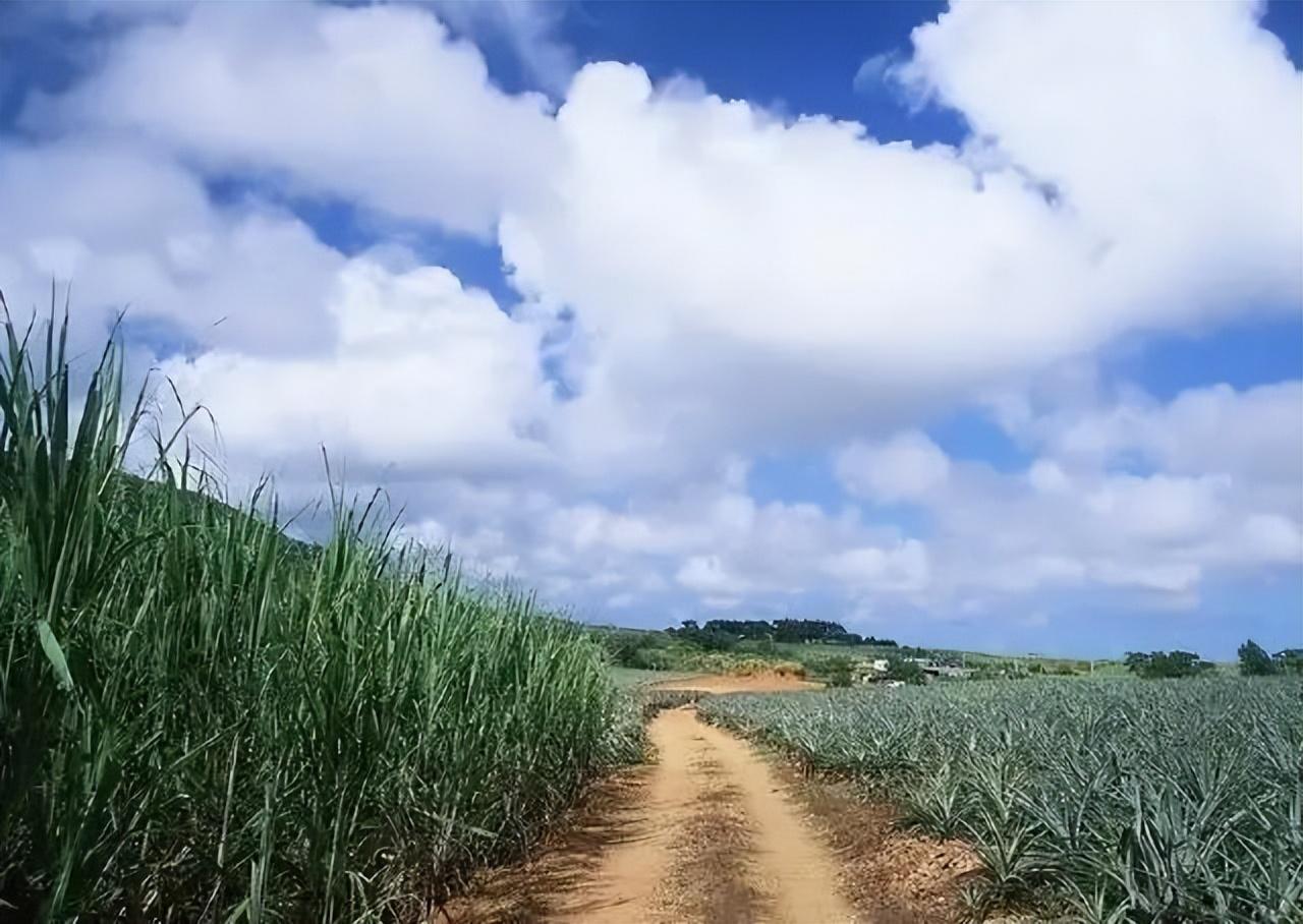 充满智慧的正能量句子（蕴含人生智慧的经典语录）