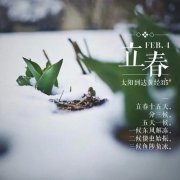 有关立春节气古诗大全（描写立春节气的古诗句）