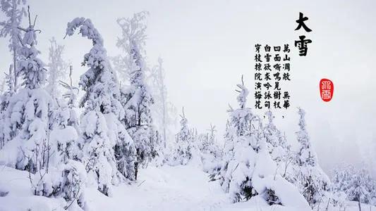 大雪时节古诗大全（关于大雪节气诗词赏析）