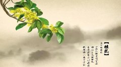 有关经典桂花古诗（跟桂花有关的诗句）