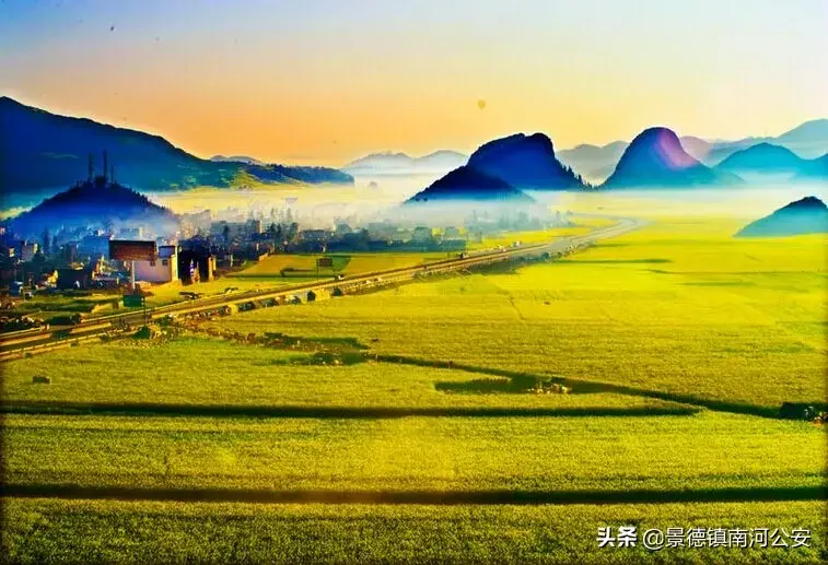 关于油菜花的古诗有哪些（17首油菜花诗词）