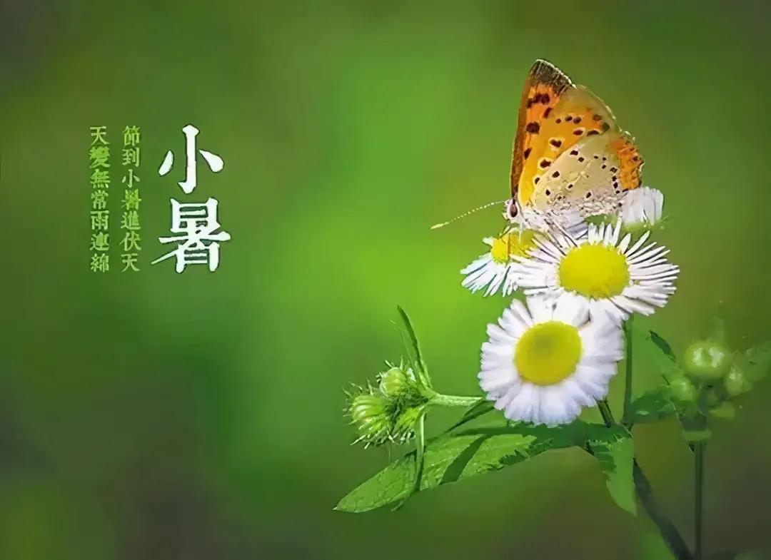 小暑节气古诗大全（关于小暑的优美古诗）