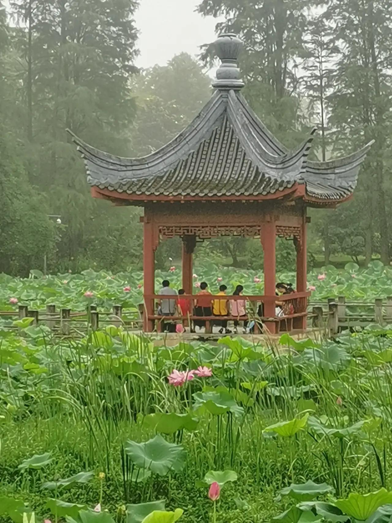 小暑节气古诗大全（关于小暑的优美古诗）