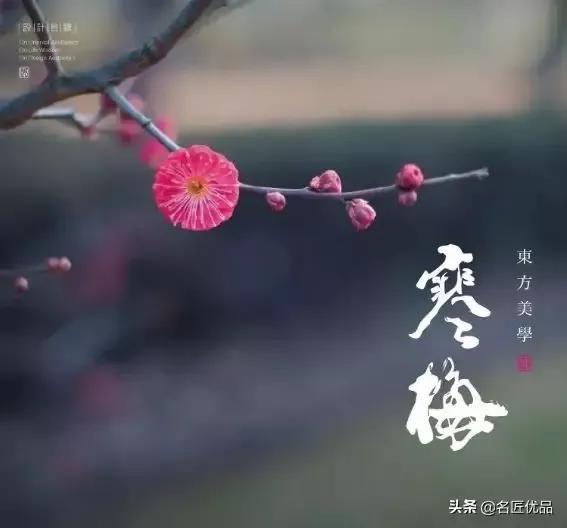 当代咏梅诗词22首（赞美梅花的千古名诗）