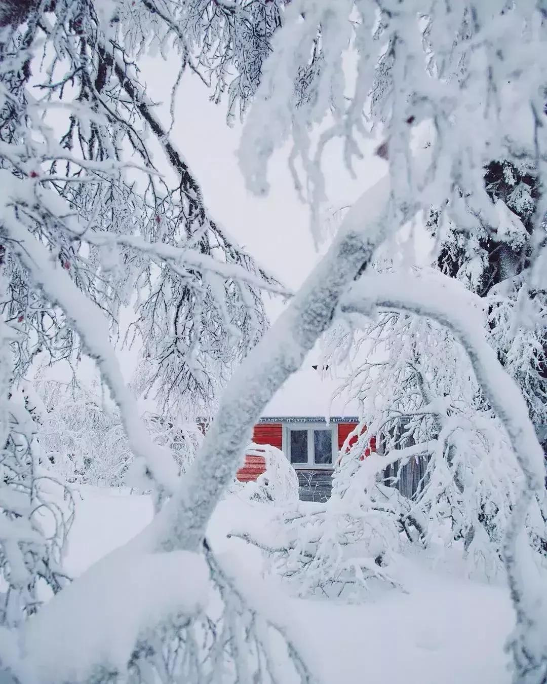 关于咏雪诗词鉴赏（咏雪古诗大全）