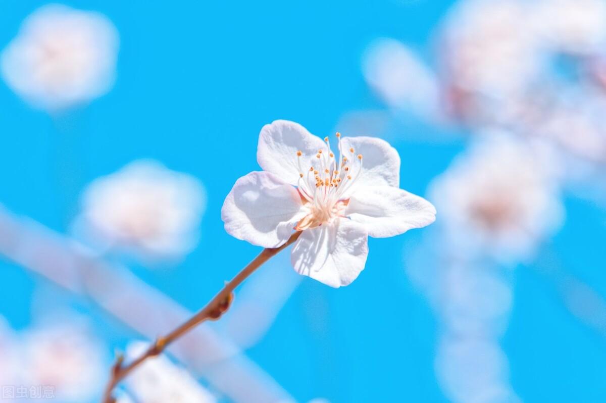 倍感轻松的暖心文案（如释重负的暖心句子）